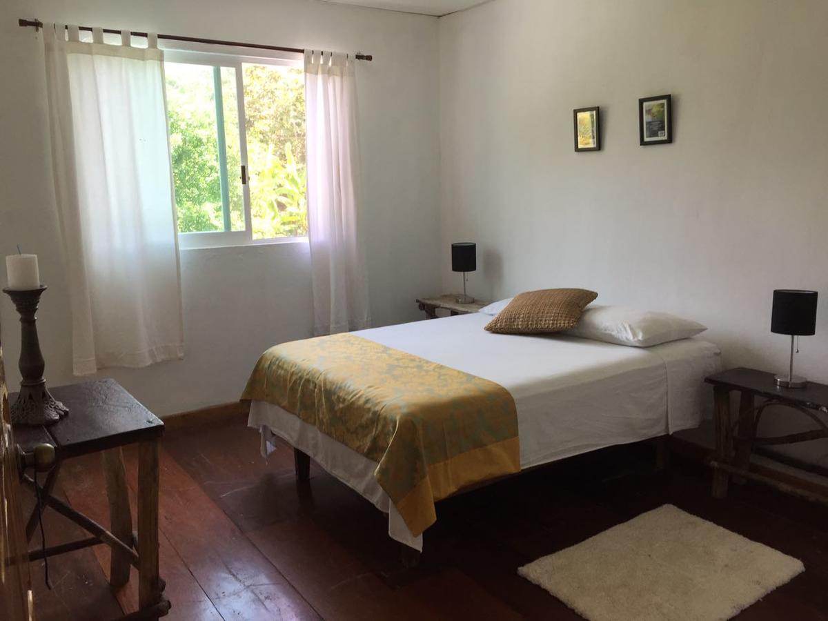 帕伦克 Casa Guacamaya酒店 外观 照片