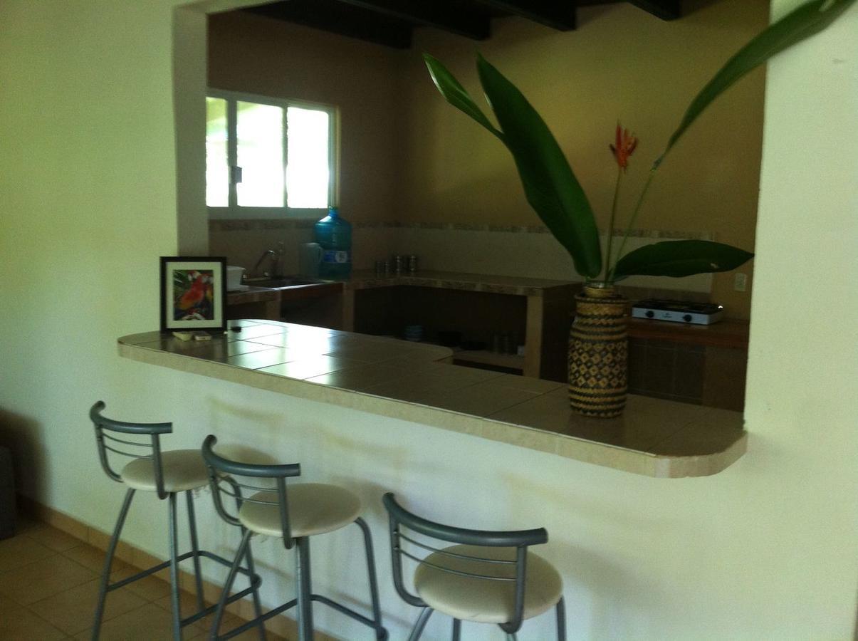 帕伦克 Casa Guacamaya酒店 外观 照片
