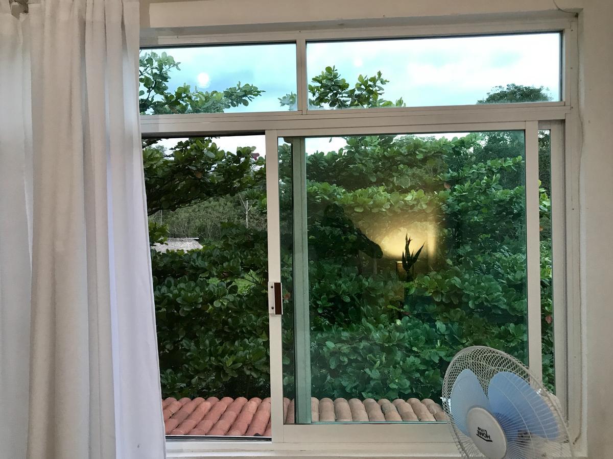 帕伦克 Casa Guacamaya酒店 外观 照片