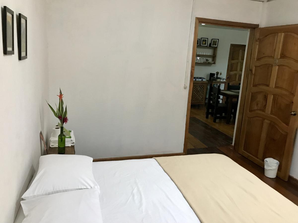 帕伦克 Casa Guacamaya酒店 外观 照片