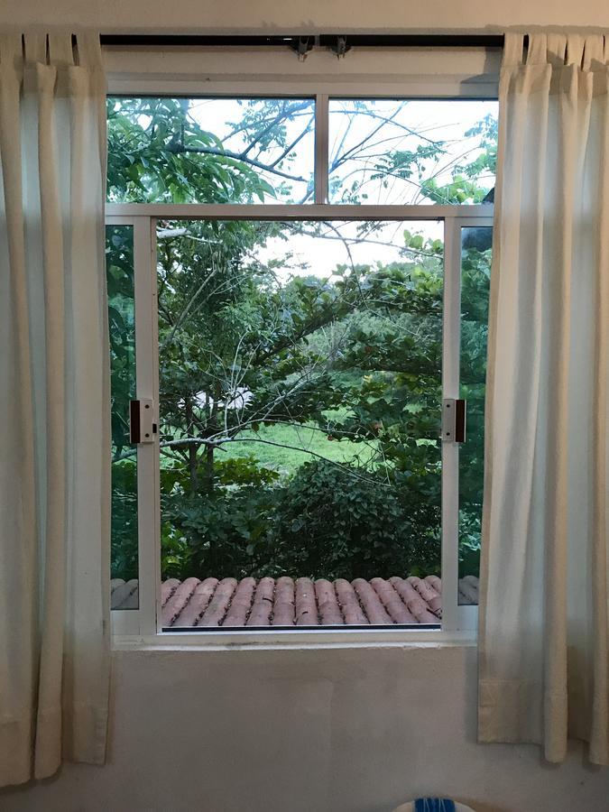 帕伦克 Casa Guacamaya酒店 外观 照片