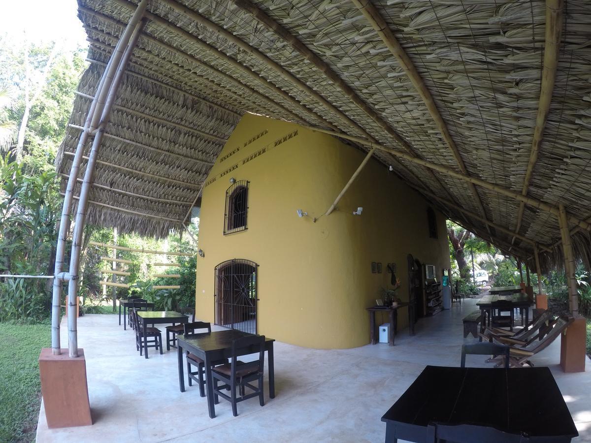 帕伦克 Casa Guacamaya酒店 外观 照片