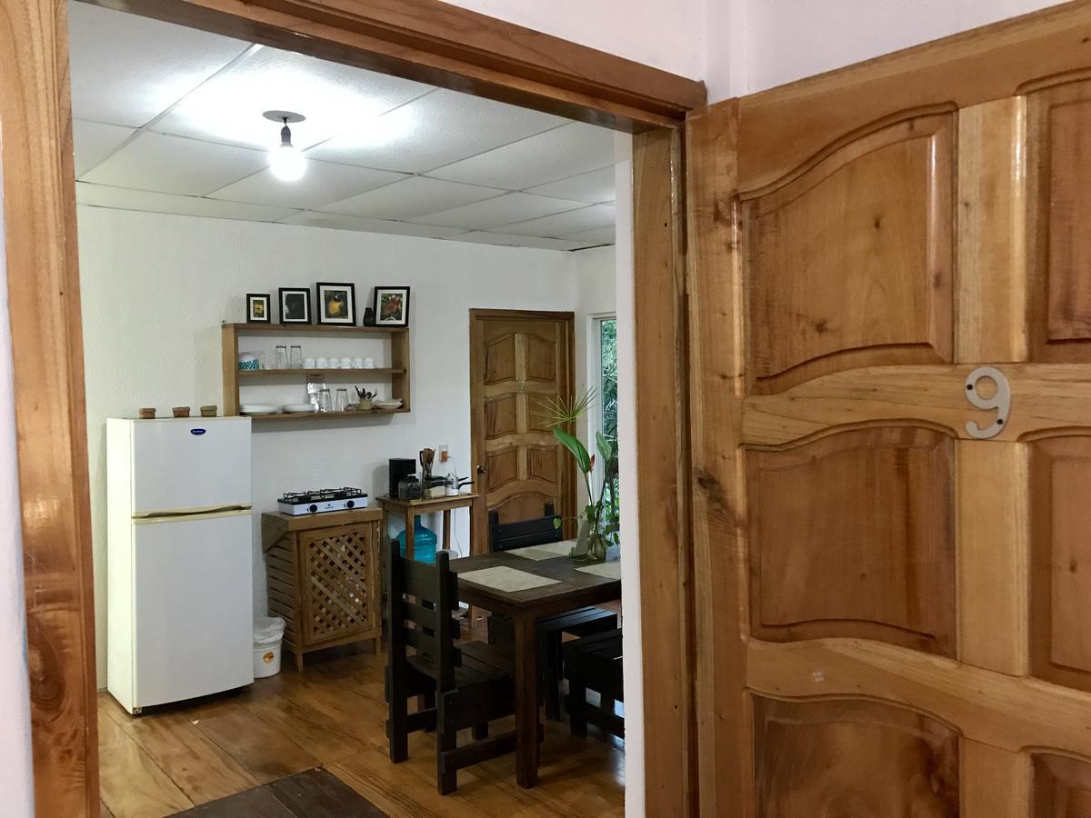 帕伦克 Casa Guacamaya酒店 外观 照片