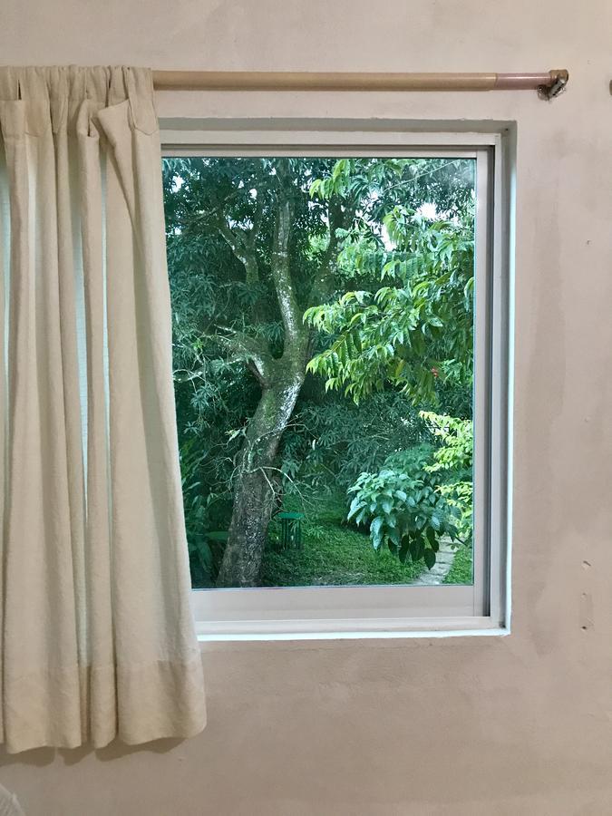 帕伦克 Casa Guacamaya酒店 外观 照片